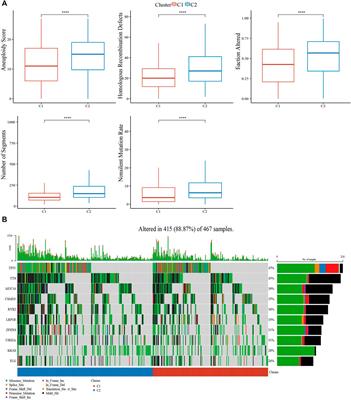 Identification of cuproptosis-related gene signature to predict prognosis in lung adenocarcinoma